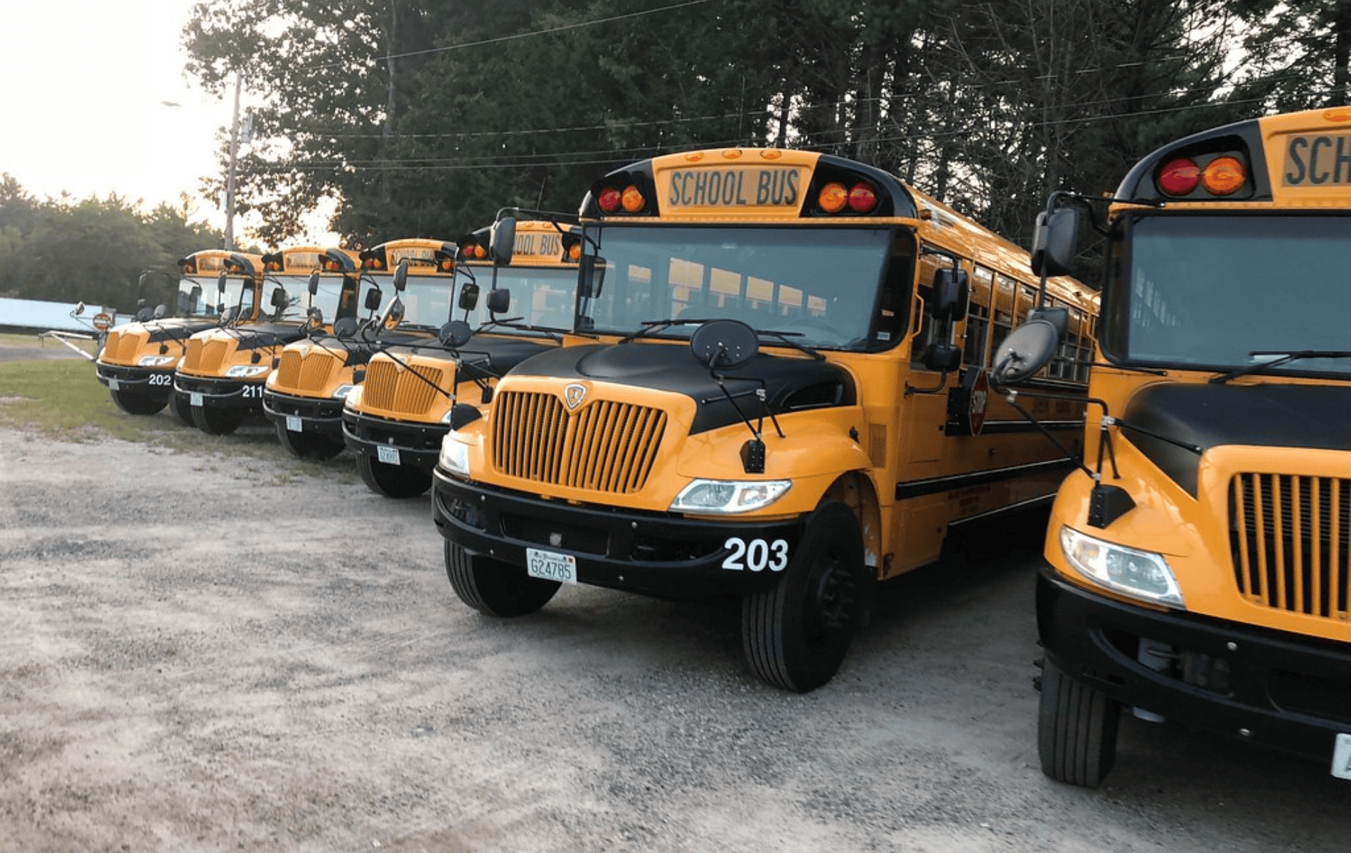 Charter Bus Rental Boston: The Best Group Travel Solution for Any Occasion