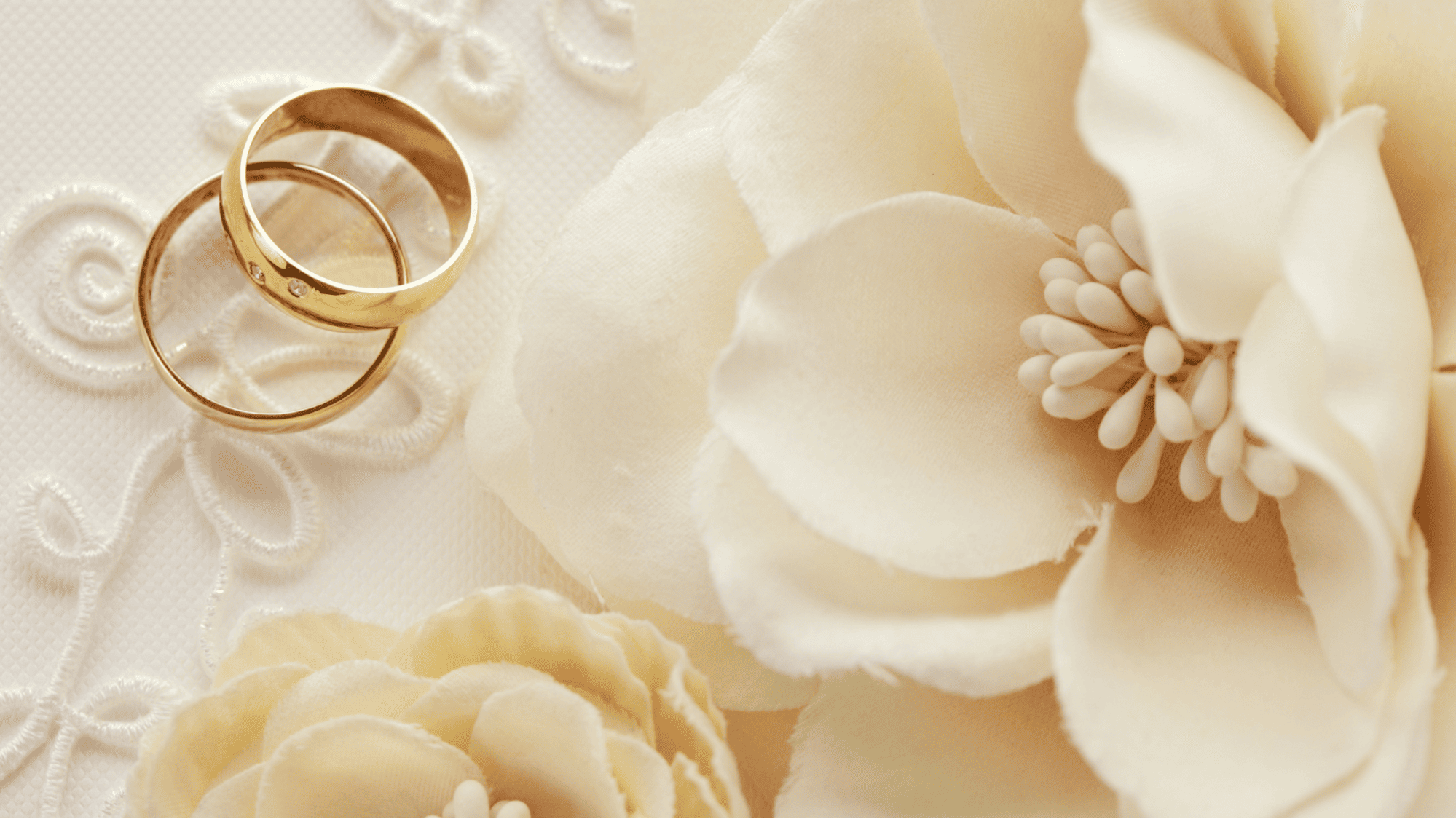 From “Yes” to “I Do”: How a Boston Bus Rental Can Create an Unforgettable Journey