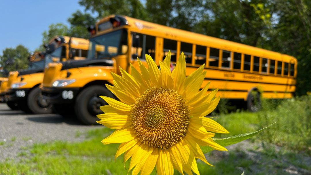 Coastal Wedding Logistics