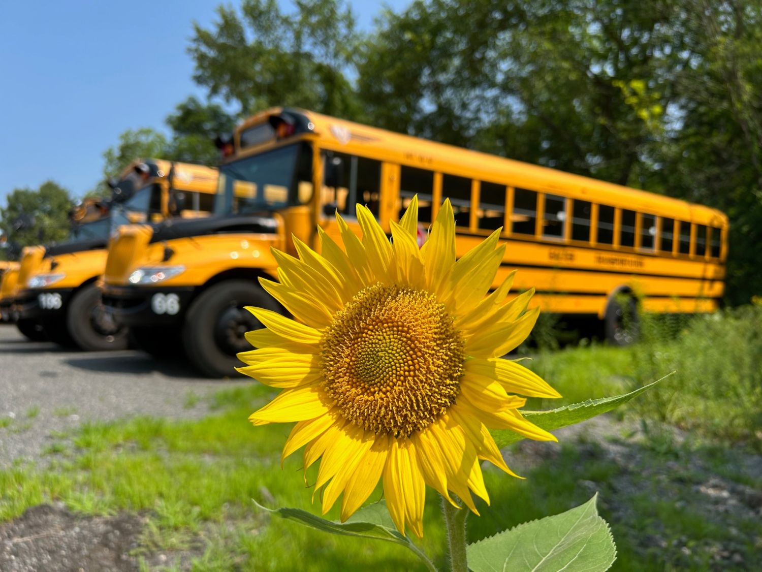 How to Coordinate Summer Group Travel on the North Shore